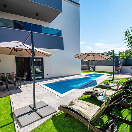 Rose With A Pool In *